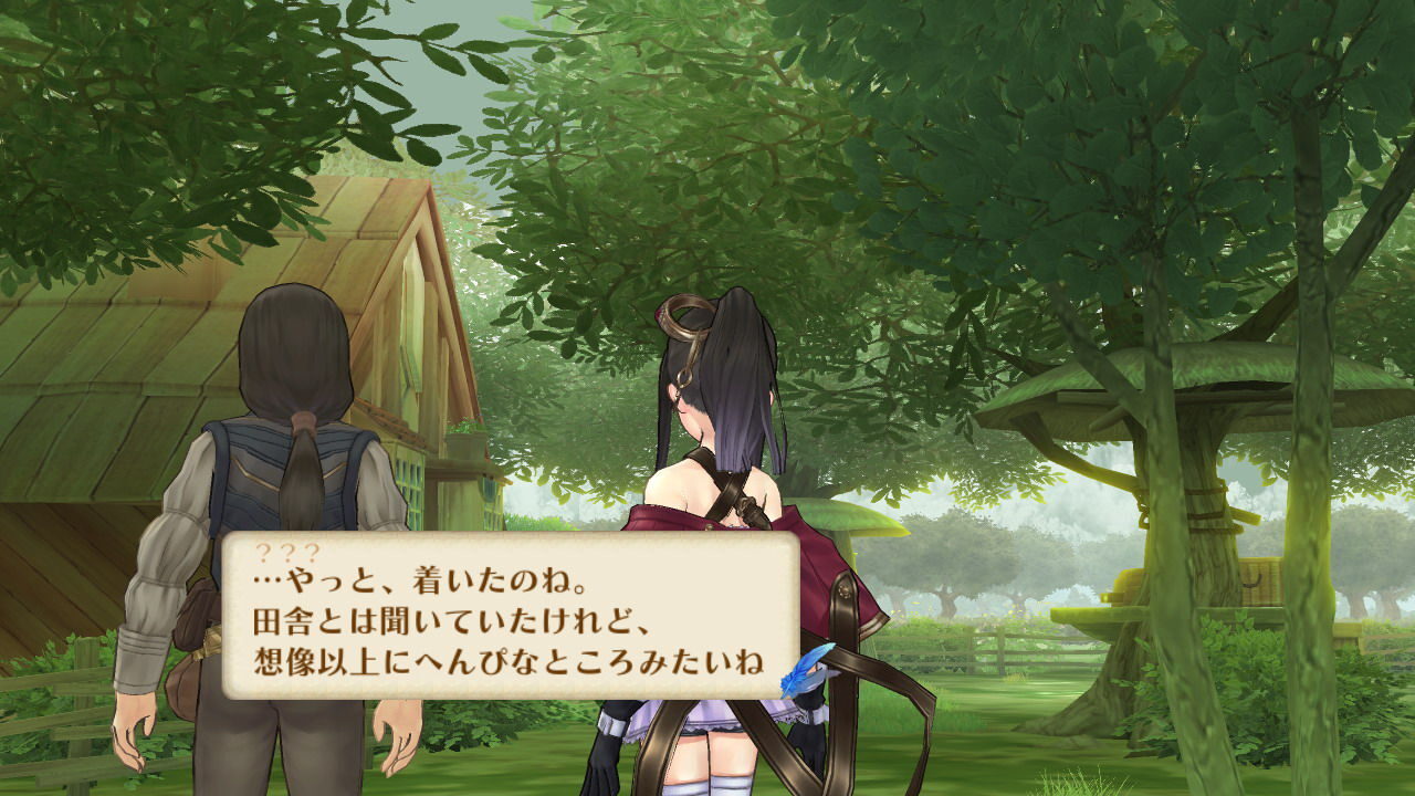 Atelier Meruru The Apprentice of Arland ss 100