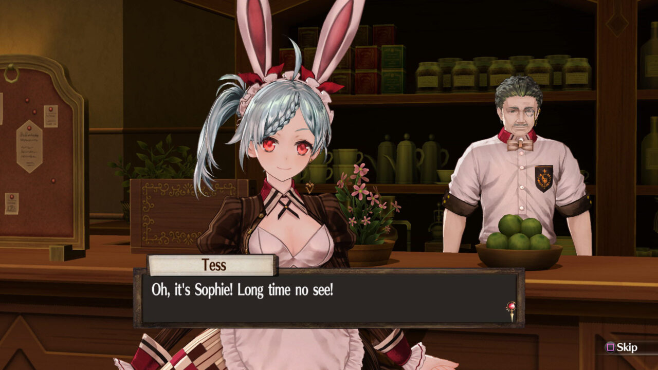 Atelier Sophie The Alchemist of the Mysterious Book ss 211
