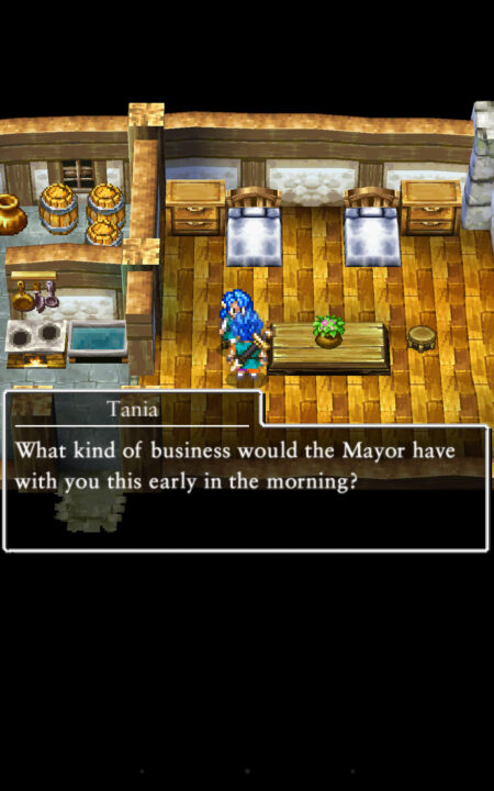 Dragon Quest VI Realms of Revelation 2010 ss 087