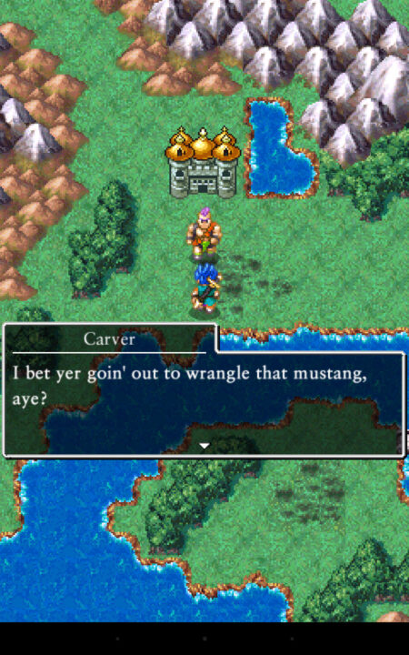 Dragon Quest VI Realms of Revelation 2010 ss 095