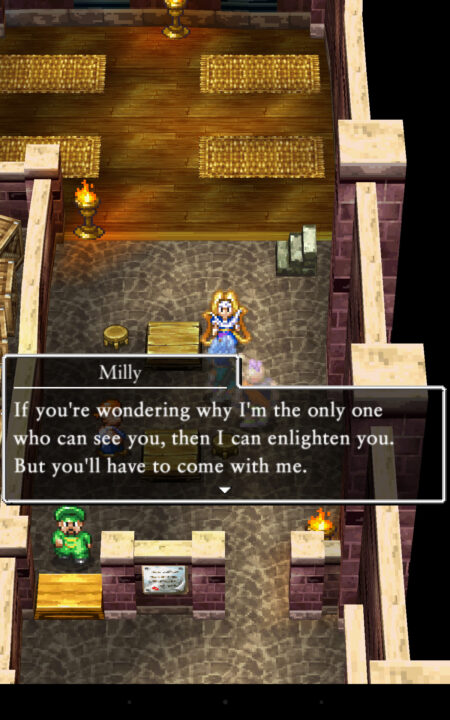 Dragon Quest VI Realms of Revelation 2010 ss 096