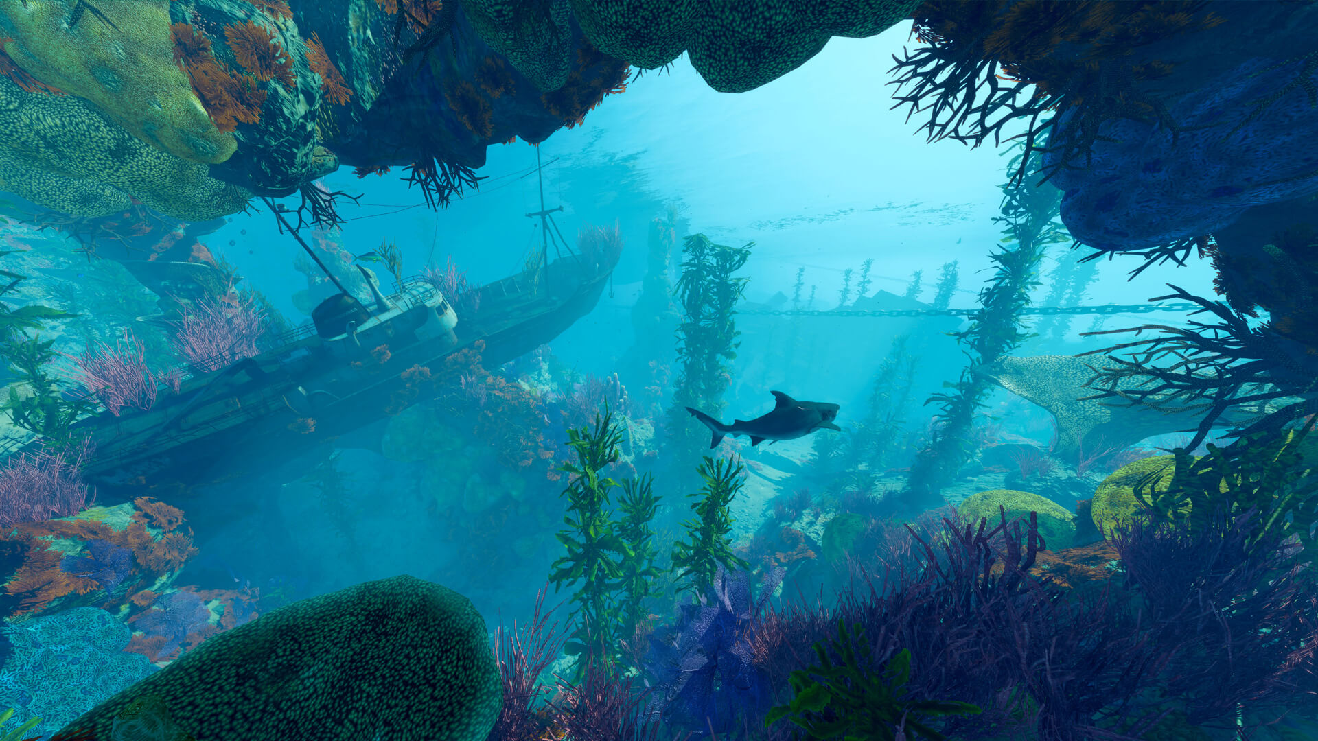 Shark RPG 'Maneater' Hits Steam, Xbox Game Pass, Switch on May 25