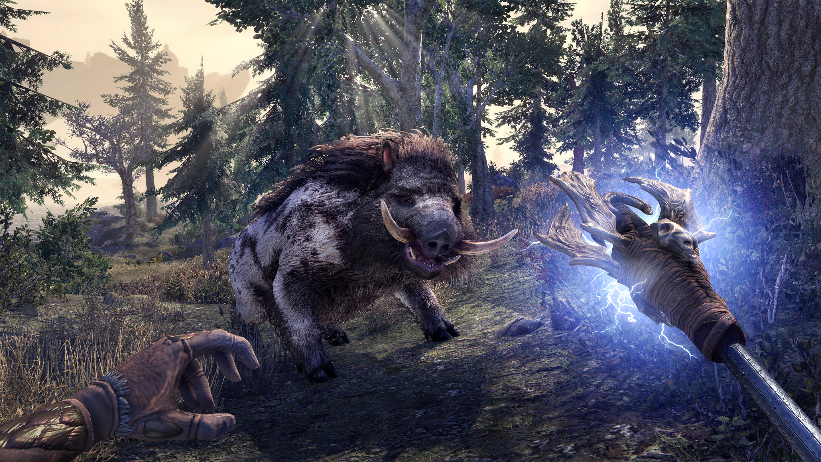 The Elder Scrolls Online Greymoor Screenshot Snow Boar Bristleback