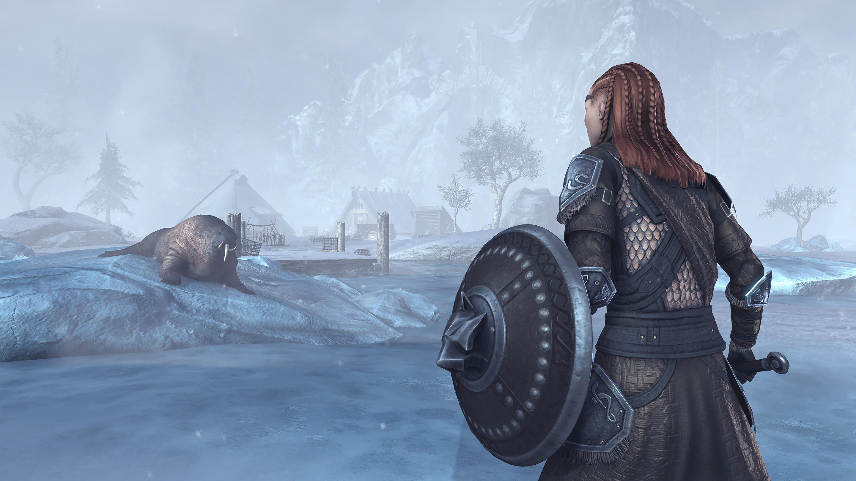 The Elder Scrolls Online Greymoor Screenshot Snowy Fishing Village