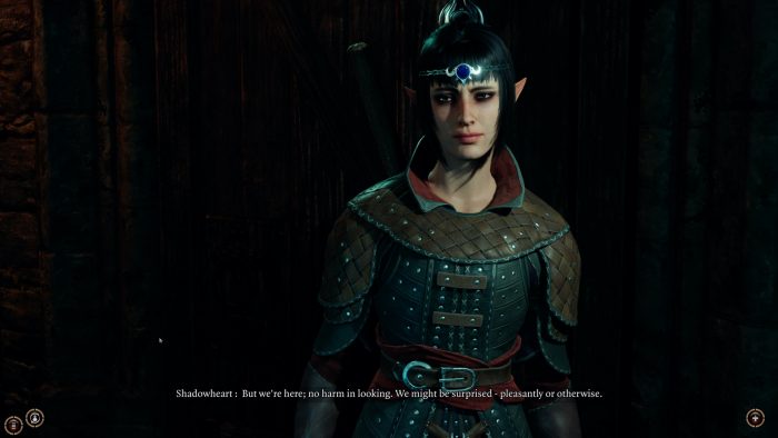 Baldurs Gate III Screenshot 025