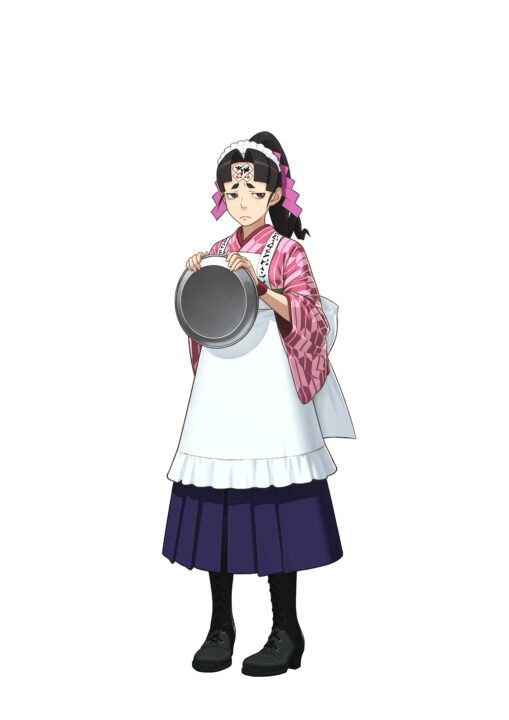 Phoenix Wright Ace Attorney Dual Destinies Artwork 013