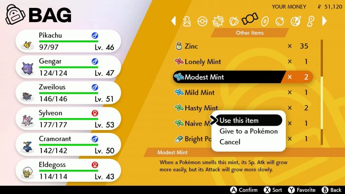 Pokemon Sword Shield ss 197