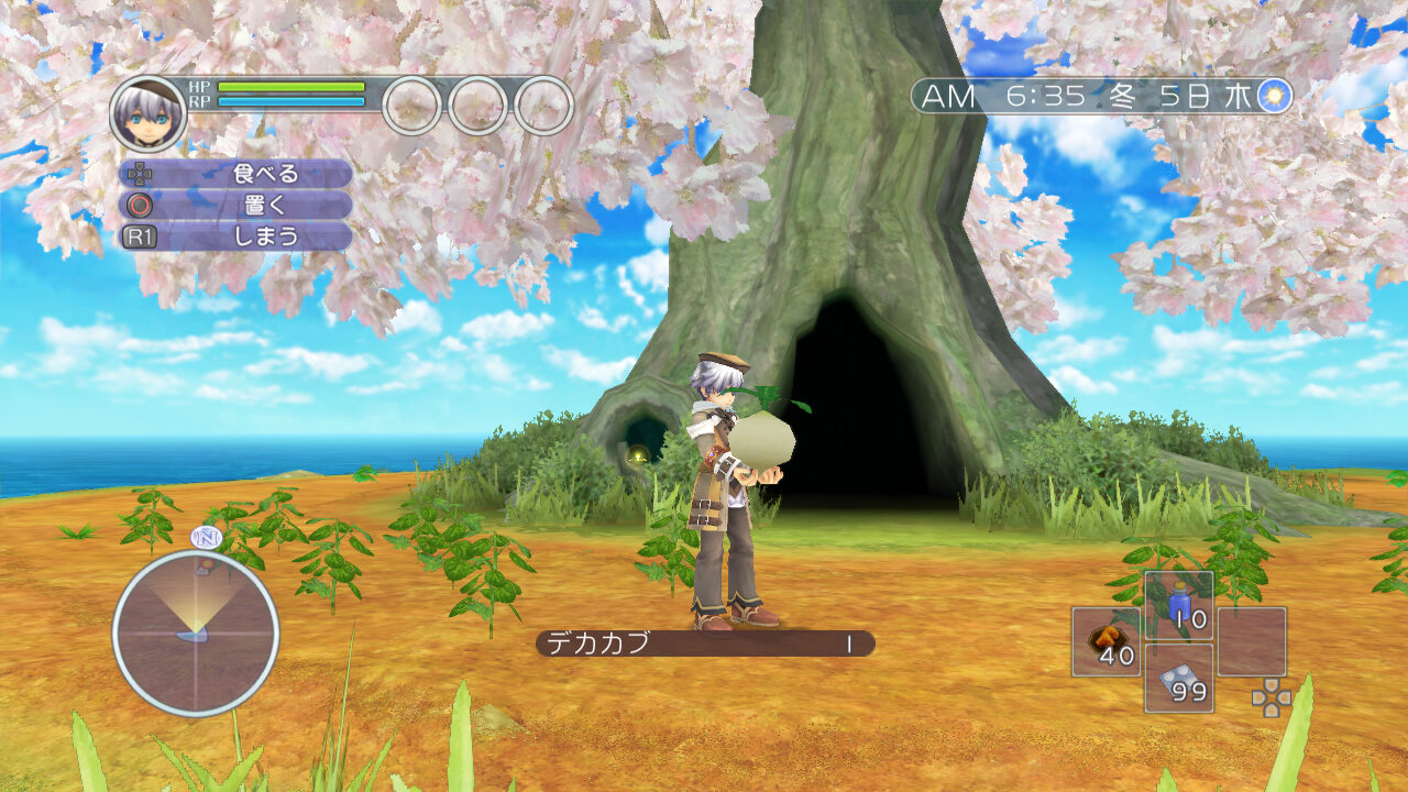Rune Factory Tides of Destiny ss 072