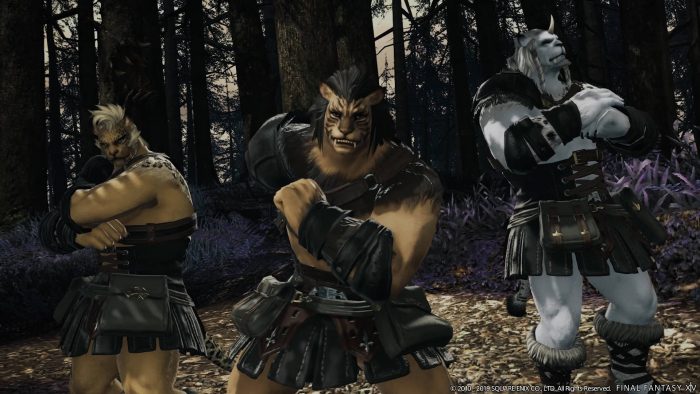 Final Fantasy XIV Shadowbringers Screenshot 091