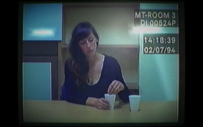 Her Story Screenshot 03