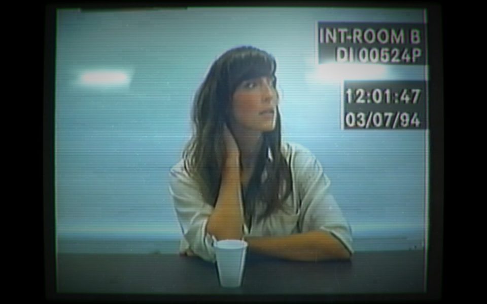 Her Story Screenshot 08
