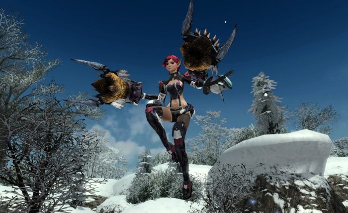 Phantasy Star Online 2 Screenshot 0313