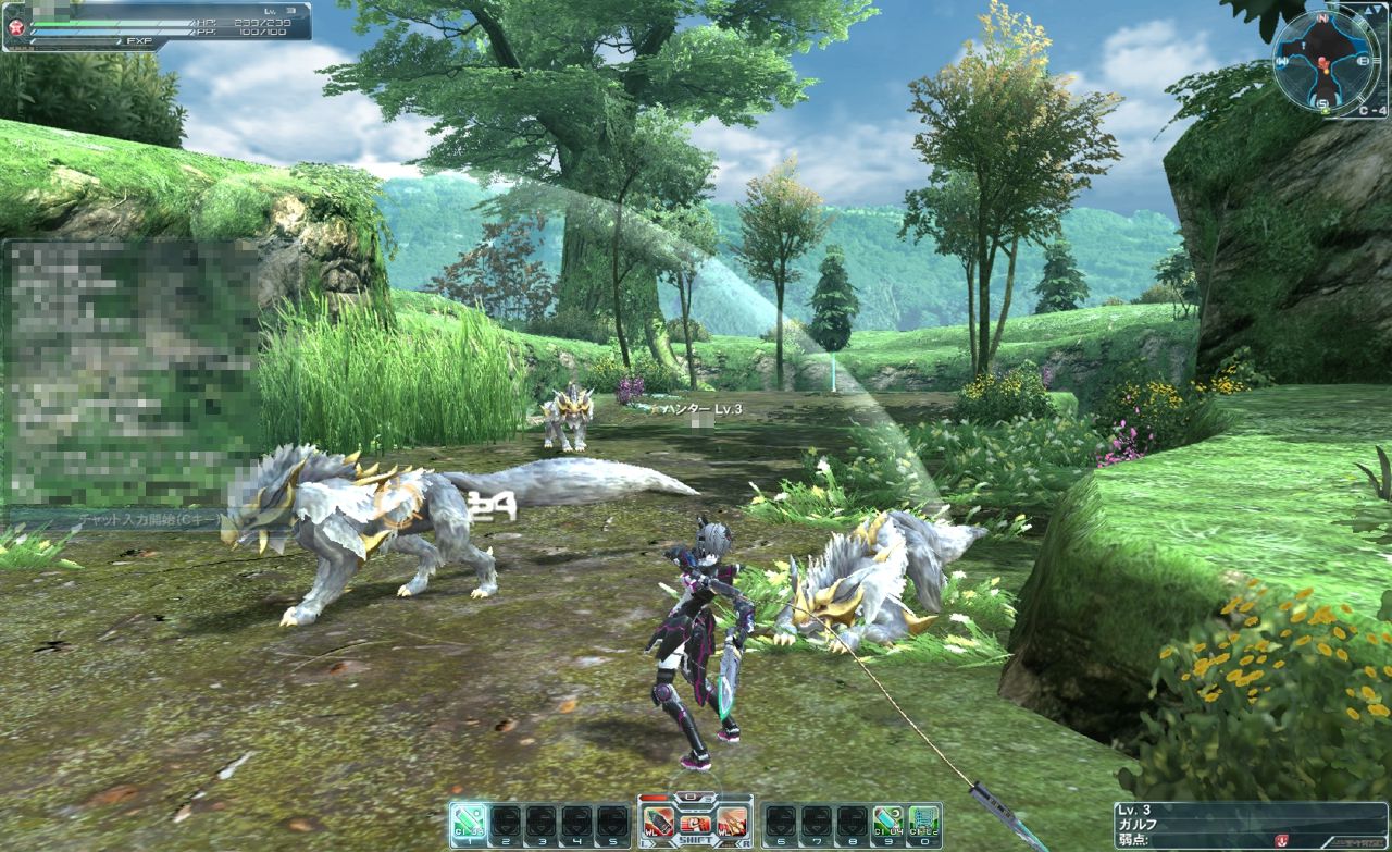 Phantasy Star Online 2 Screenshot 061