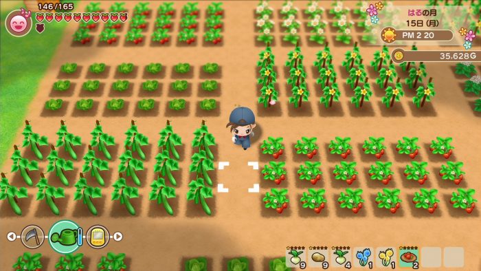 Story of Seasons Friends of Mineral Town Screenshot 001