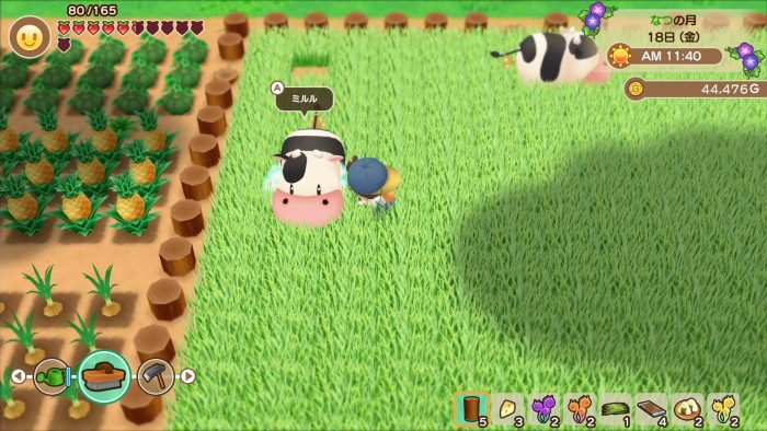 Story of Seasons Friends of Mineral Town Screenshot 002