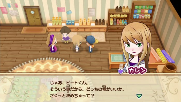 Story of Seasons Friends of Mineral Town Screenshot 005