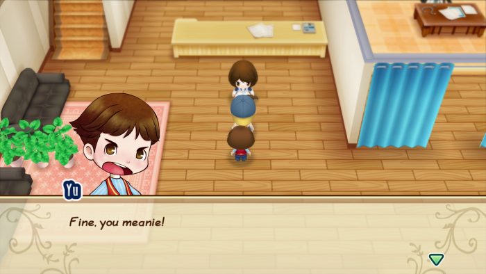 Story of Seasons Friends of Mineral Town Screenshot 011