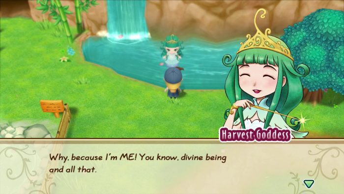 Story of Seasons Friends of Mineral Town Screenshot 012