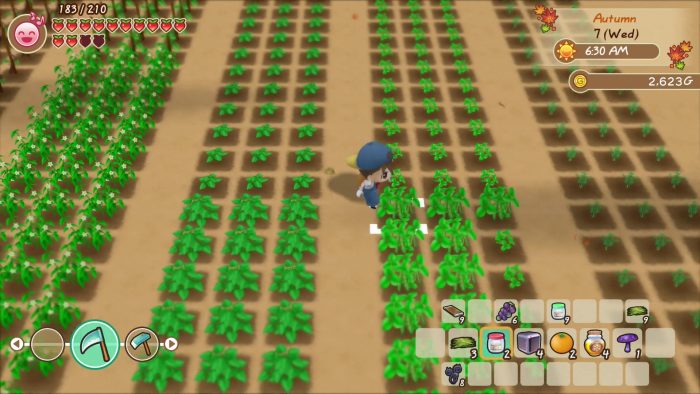 Story of Seasons Friends of Mineral Town Screenshot 015