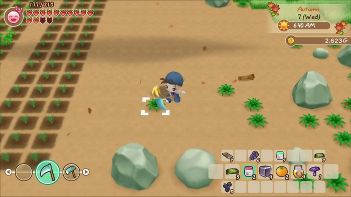 Story of Seasons Friends of Mineral Town Screenshot 016