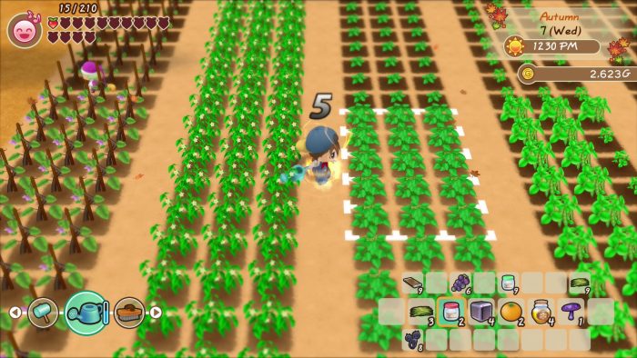 Story of Seasons Friends of Mineral Town Screenshot 017