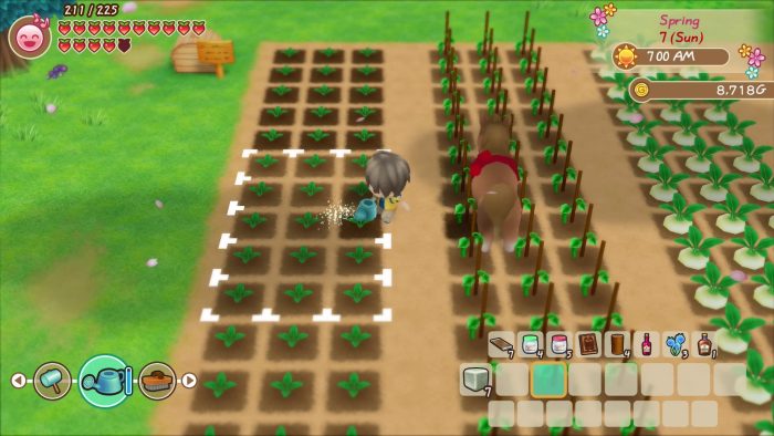 Story of Seasons Friends of Mineral Town Screenshot 018