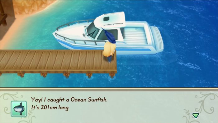 Story of Seasons Friends of Mineral Town Screenshot 021