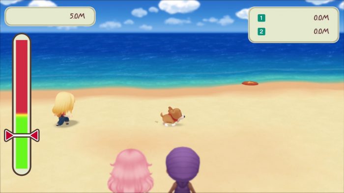 Story of Seasons Friends of Mineral Town Screenshot 023