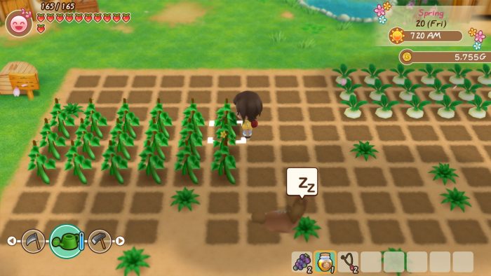 Story of Seasons Friends of Mineral Town Screenshot 033