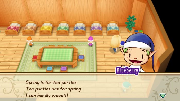 Story of Seasons Friends of Mineral Town Screenshot 041