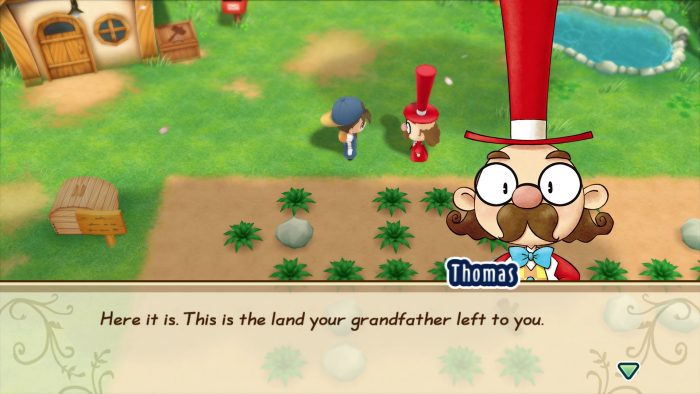 Story of Seasons Friends of Mineral Town Screenshot 043