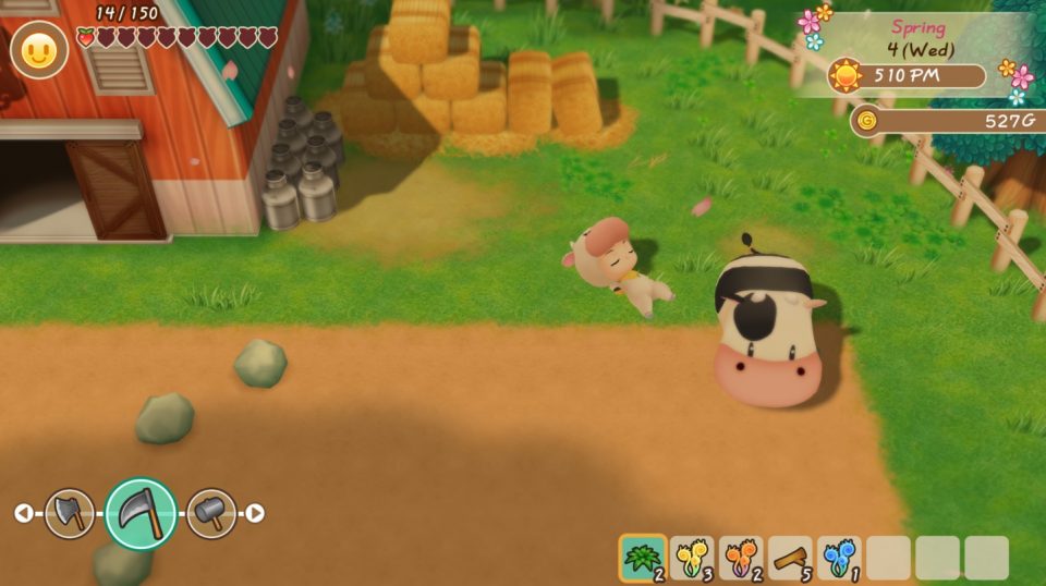 Story of Seasons Friends of Mineral Town Screenshot 045