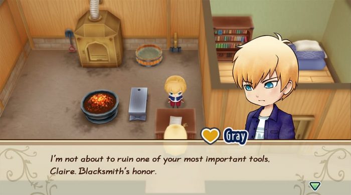 Story of Seasons Friends of Mineral Town Screenshot 059