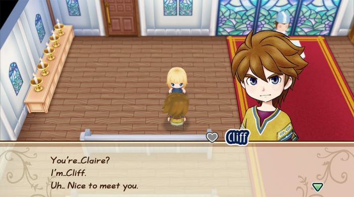 Story of Seasons Friends of Mineral Town Screenshot 074