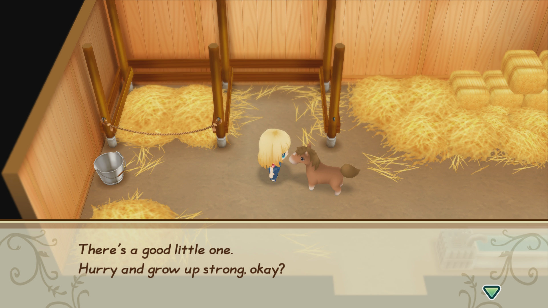 Story of Seasons Friends of Mineral Town Screenshot 078