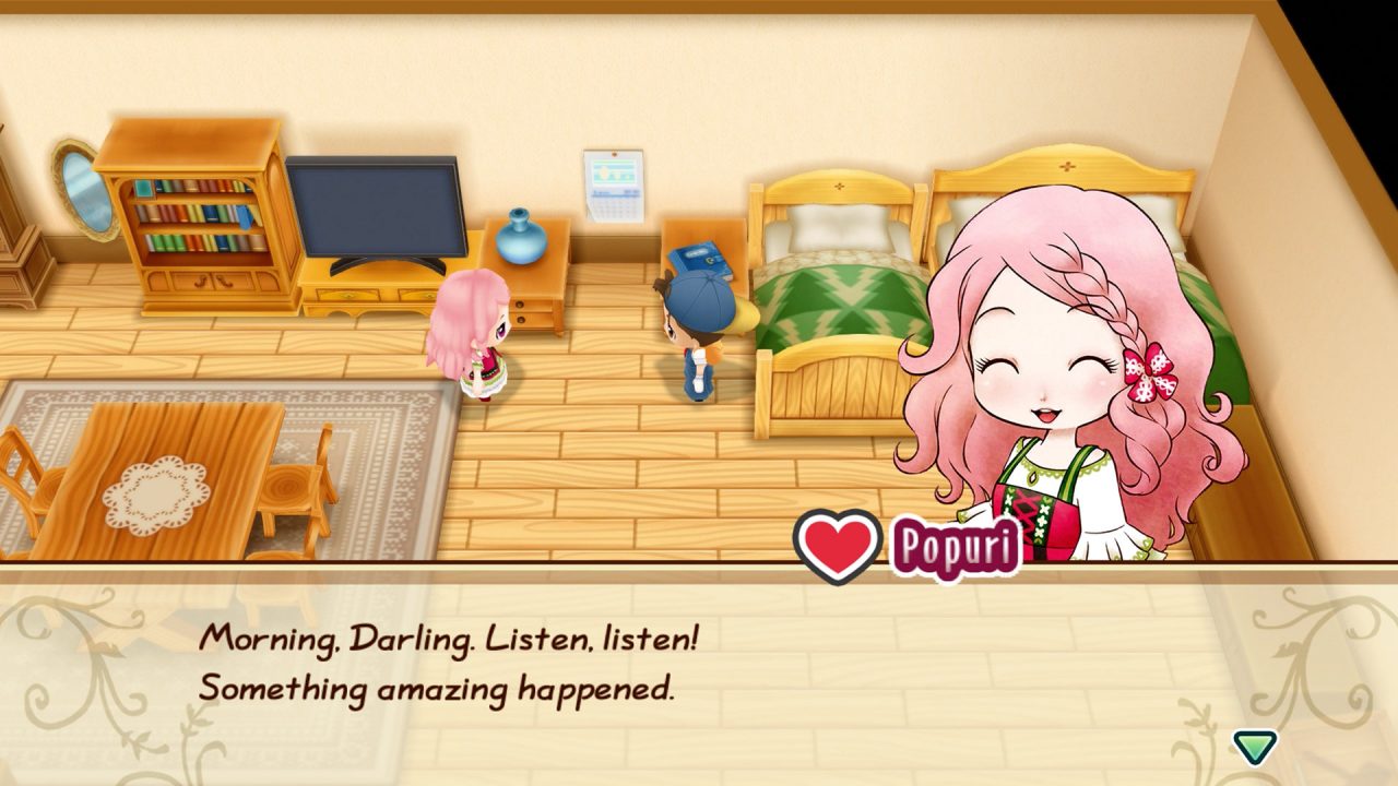 Story of Seasons Friends of Mineral Town Screenshot 081