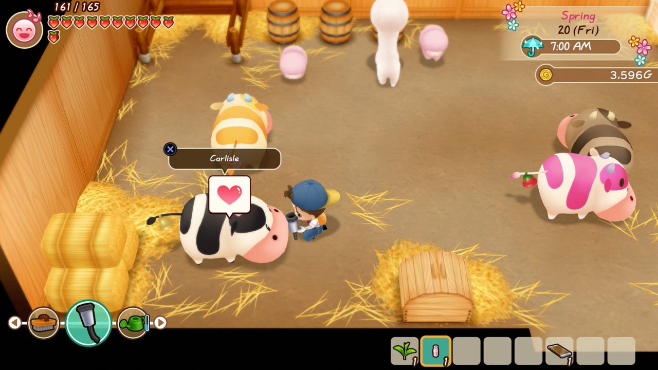 Story of Seasons Friends of Mineral Town Screenshot 084
