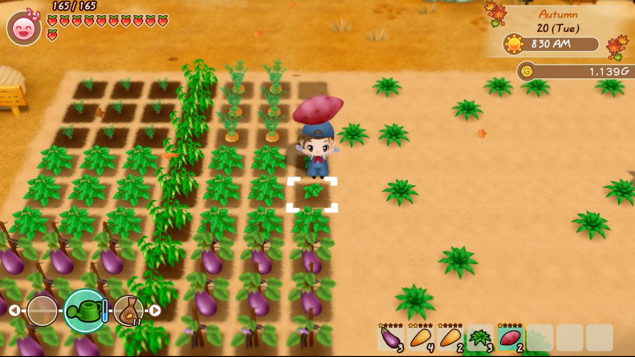 Story of Seasons Friends of Mineral Town Screenshot 086
