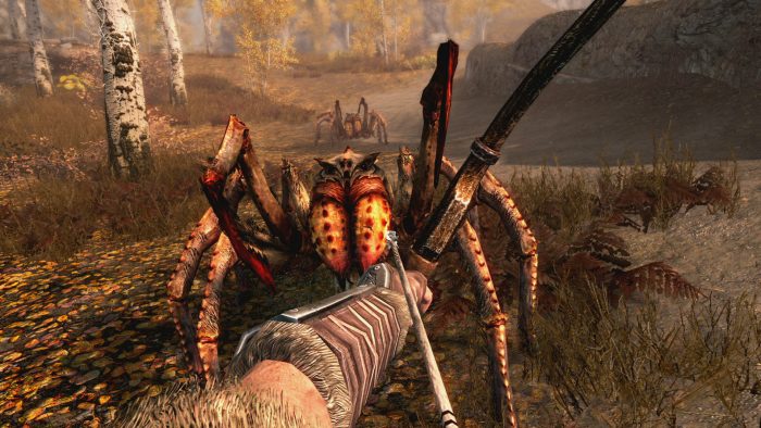 The Elder Scrolls V Skyrim Special Edition Screenshot 008