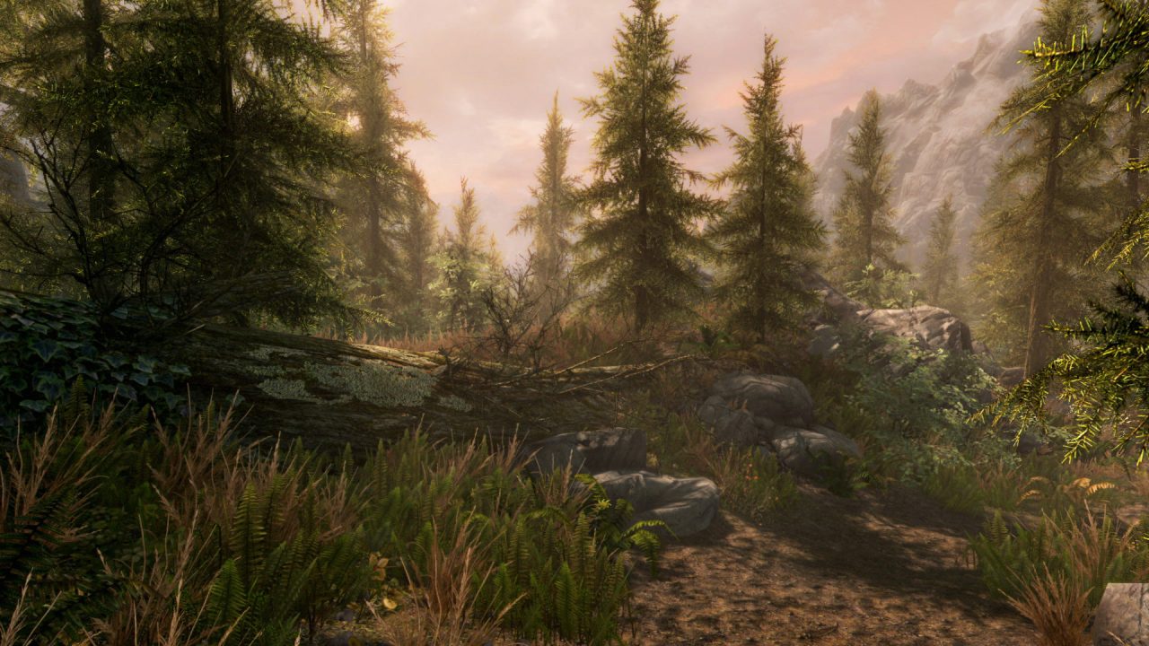 The Elder Scrolls V Skyrim Special Edition Screenshot 009