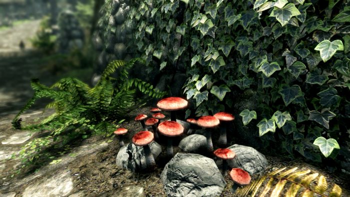 The Elder Scrolls V Skyrim Special Edition Screenshot 012