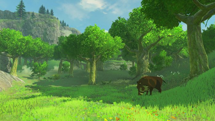 The Legend of Zelda Breath of the Wild Screenshot 026