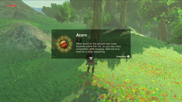 The Legend of Zelda Breath of the Wild Screenshot 033