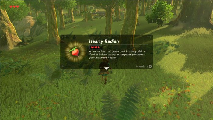 The Legend of Zelda Breath of the Wild Screenshot 034