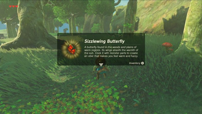 The Legend of Zelda Breath of the Wild Screenshot 039