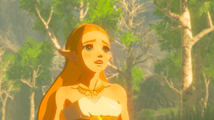 The Legend of Zelda Breath of the Wild Screenshot 044
