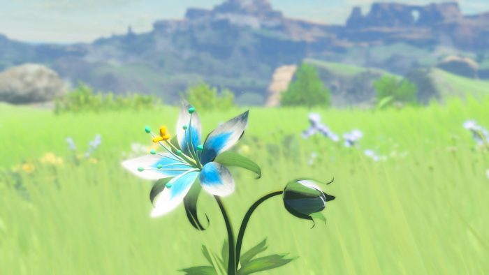 The Legend of Zelda Breath of the Wild Screenshot 069