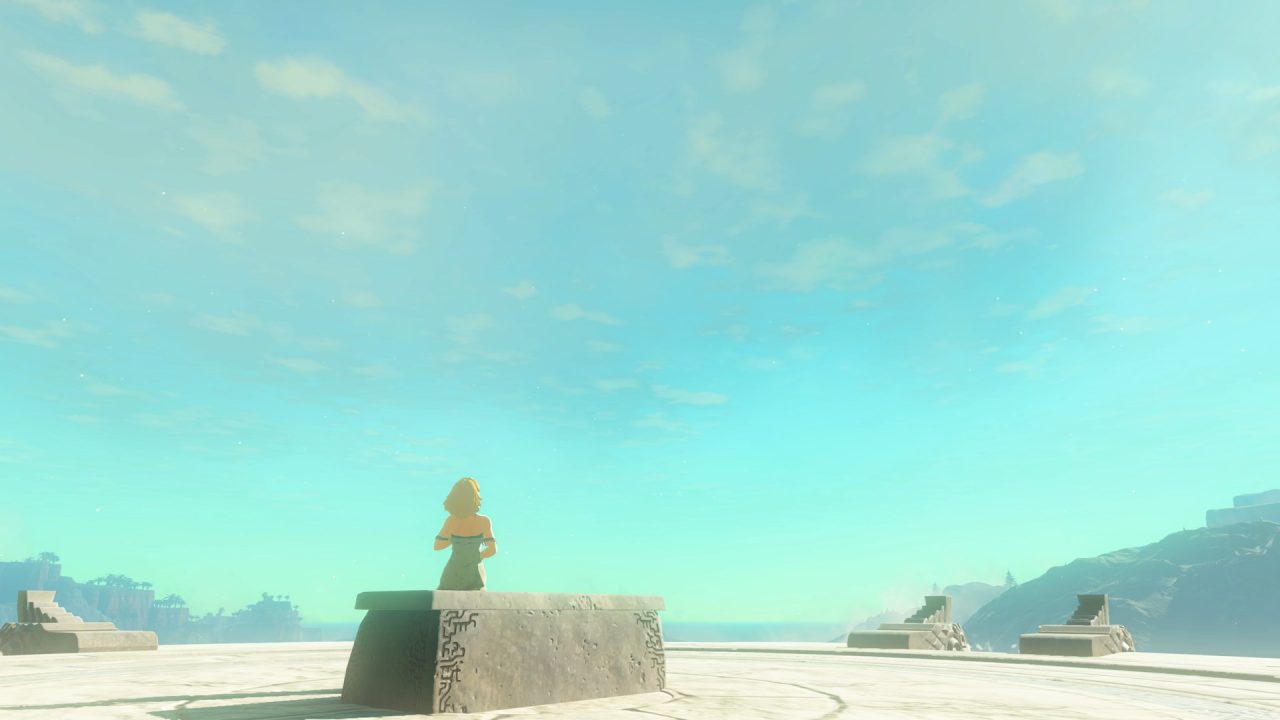 The Legend of Zelda Tears of the Kingdom Screenshot 160