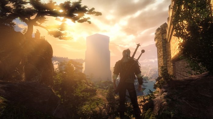 A screenshot of Geralt in a field at sunset in The Witcher 2