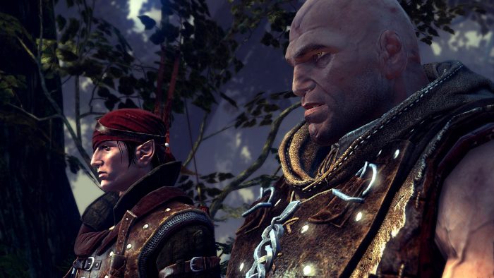 The Witcher 2 Assassins of Kings Screenshot 006